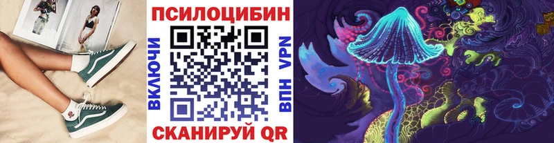 где купить наркоту  MEGA онион  Галлюциногенные грибы мицелий  Долгопрудный 