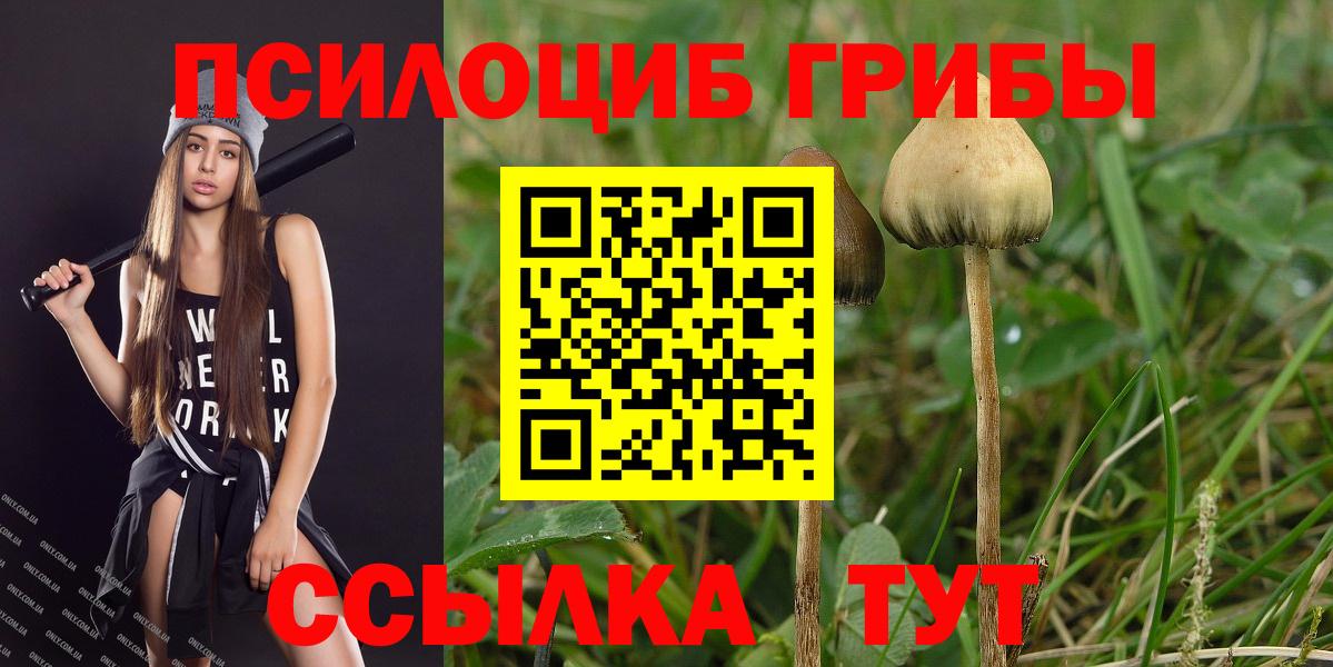 Псилоцибиновые грибы мухоморы Долгопрудный