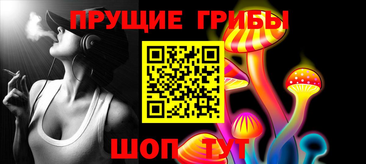 Галлюциногенные грибы MAGIC MUSHROOMS  закладка  Долгопрудный 