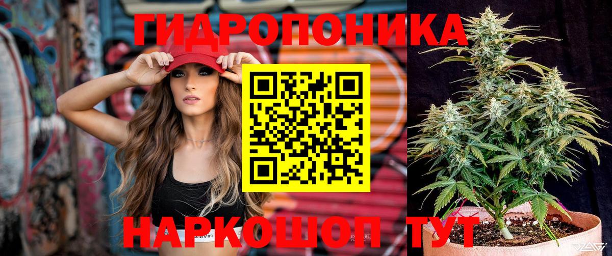 Шишки марихуана марихуана Долгопрудный